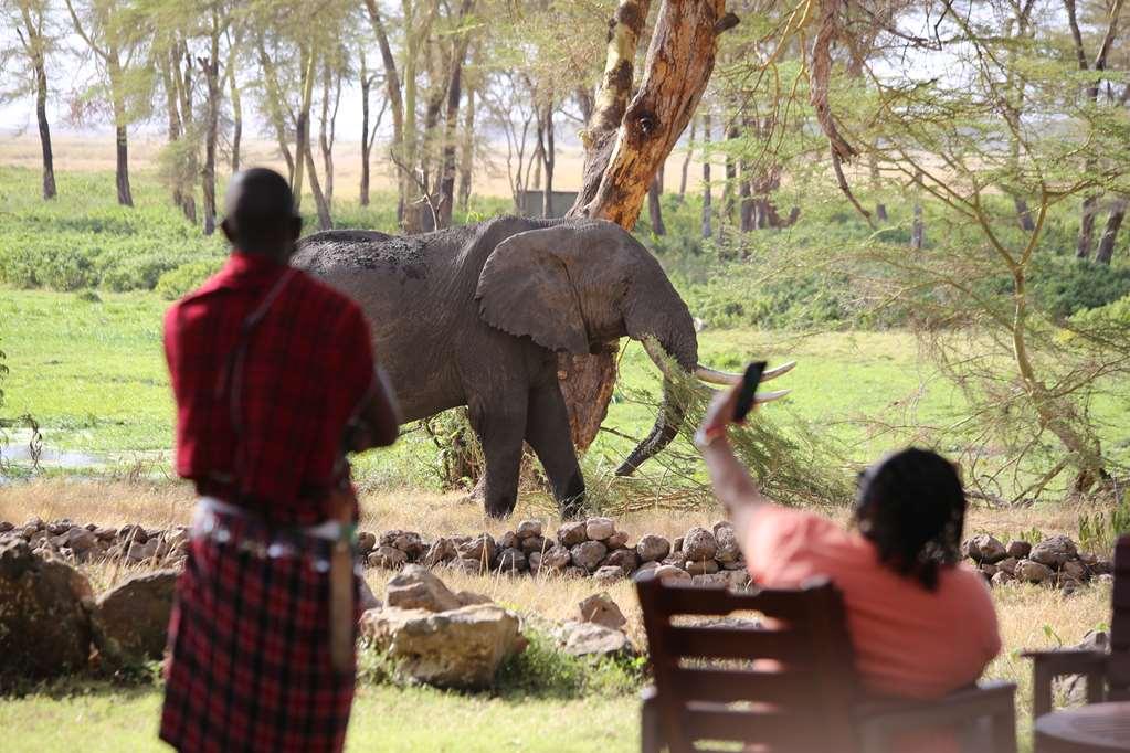 Amboseli Serena Safari Lodge Facilités photo